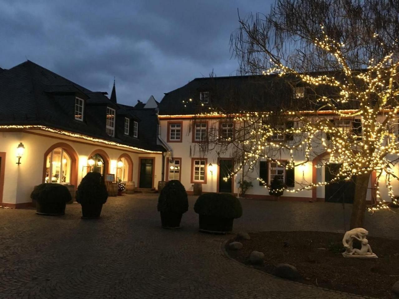 Gutshotel Weingut Schloss Reinhartshausen Eltville am Rhein Εξωτερικό φωτογραφία